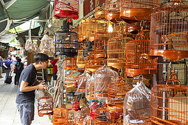 Bird Market, Mong Kok, Kowloon, Hong Kong, China, Asia