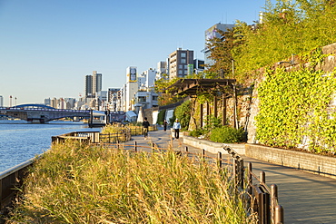 People walking along Sumida River, Tokyo, Honshu, Japan, Asia