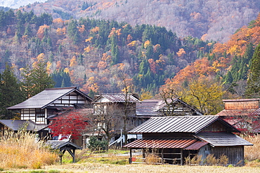 Traditional houses of Ogimachi, UNESCO World Heritage Site, Shirakawa-go, Toyama Prefecture, Honshu, Japan, Asia