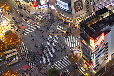 Shibuya Crossing at night, Shibuya, Tokyo, Honshu, Japan, Asia