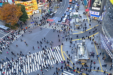 People crossing Shibuya Crossing, Shibuya, Tokyo, Honshu, Japan, Asia