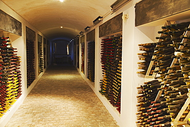 Cellar of vintage wine, Boschendal Wine Estate, Franschhoek, Western Cape, South Africa, Africa