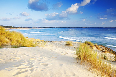 Sunrise on Tofo beach, Tofo, Inhambane, Mozambique, Africa