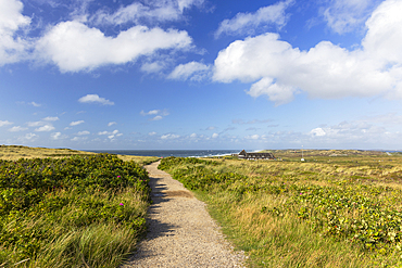 Path along Red Cliffs (Rotes Kliff), Kampen, Sylt, Schleswig Holstein, Germany