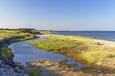 Beach at Munkmarsch, Sylt, Schleswig Holstein, Germany