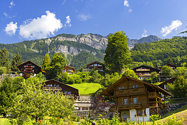 Traditional chalets with Brienzer Rothorn mountain, Brienz, Switzerland