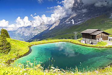 Pond at Kleine Scheidigg, Jungfrau Region, Bernese Oberland, Switzerland