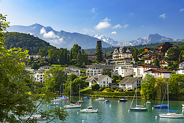 Boats in harbour, Spiez, Canton of Bern, Switzerland