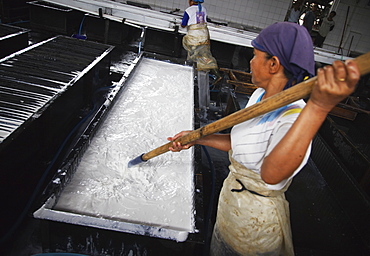 Rubber making process, Kalitakir Plantation, Kalibaru, Java, Indonesia, Southeast Asia, Asia