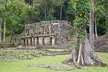 Yaxchilan Archaeological Zone, Chiapas, Mexico, North America 