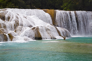 Waterfalls, Rio Tulija, Aqua Azul National Park, near Palenque, Chiapas, Mexico, North America 