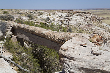 Agate Bridge, a petrified log spanning ravine, Petrified Forest National Park, Arizona, United States of America, North America