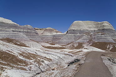 Sedimentary layers of bluish bentonite clay, Blue Mesa Trail, Blue Mesa, Petrified Forest National Park, Arizona, United States of America, North America