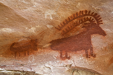 Jones Hole, Fremont style pictographs, dating from AD 700 to AD 1200, Dinosaur National Monument, Utah, United States of America, North America