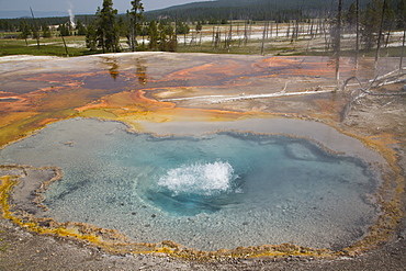 Firehole Spring, Firehole Lake Drive, Yellowstone National Park, UNESCO World Heritage Site, Wyoming, United States of America, North America