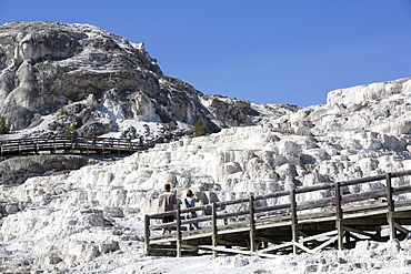 Mammoth Hot Springs, Yellowstone National Park, UNESCO World Heritage Site, Wyoming, United States of America, North America