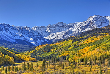 Fall Colors, of Road 7, Sneffle Range in the background, near Ouray, Colorado, United States of America, North America