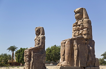 Colossi of Memnon, West Bank, Thebes, UNESCO World Heritage Site, Egypt, North Africa, Africa