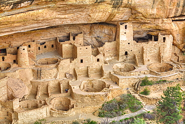 Anasazi Ruins, Cliff Palace, dating from between 600 AD and 1300 AD, Mesa Verde National Park, UNESCO World Heritage Site, Colorado, United States of America, North America