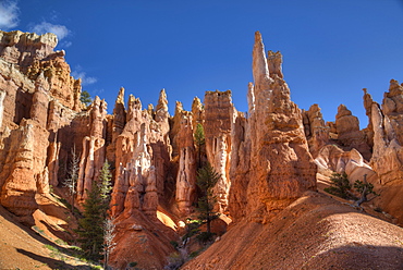 Hoodoos, on the Queens Garden Trail, Bryce Canyon National Park, Utah, United States of America, North America