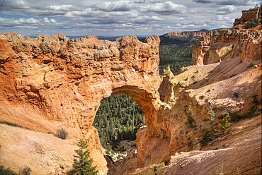 Natural Bridge, Bryce Canyon National Park, Utah, United States of America, North America