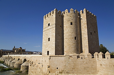 The Living Museum of Al-Andalus in the foreground and The Great Mosque (Mesquita) and Cathedral of Cordoba in distance, Cordoba, Andalucia, Spain, Europe