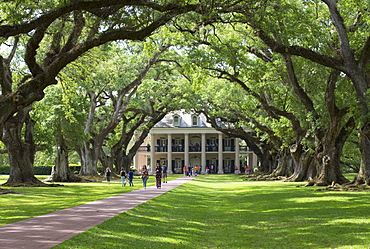 The 300 Year Old Oak Trees, Oak Alley Plantation, built 1830s, near St. James, Louisiana, United States of America, North America