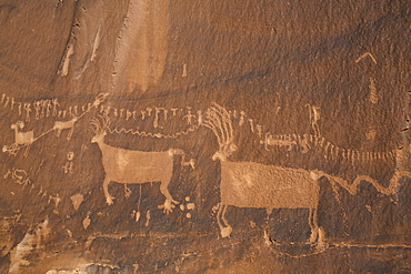 Petrogylph, Procession Panel, Butler Wash, Shash Jaa National Monument, Utah, United States of America, North America