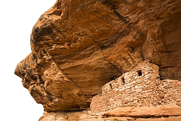 Four Windows Ruins, Ancestral Pueblo, up to 1000 years old, Lower Fish Creek, Bears Ears National Monument, Utah, United States of America, North America