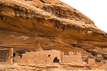 Reverse handprints, Ancestral Pueblo, up to 1000 years old, Lower Fish Creek, Bears Ears National Monument, Utah, United States of America, North America