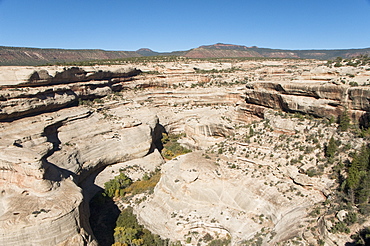 Natural Bridges National Monument, view from Horsecollar Ruin Overlook Trail, Utah, United States of America, North America