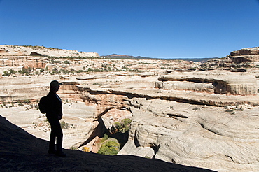 Natural Bridges National Monument, Sipapu Bridge, Utah, United States of America, North America