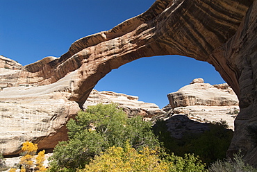 Natural Bridges National Monument, Sipapu Bridge, Utah, United States of America, North America