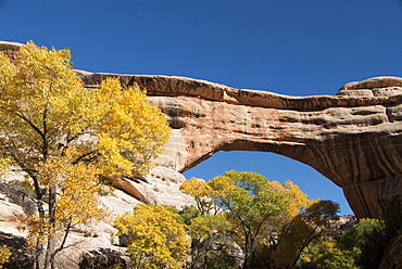 Natural Bridges National Monument, Sipapu Bridge, Utah, United States of America, North America