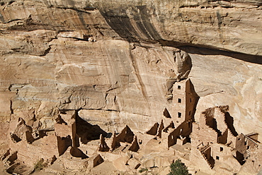 Mesa Verde National Park, Spruce Tree House, UNESCO World Heritage Site, Colorado, United States of America, North America 