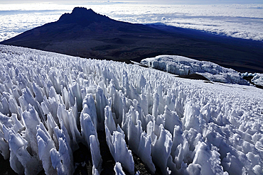 Mountain landscape on Kilimanjaro (5,895 metres), the highest mountain in Africa and one of the Seven Summits, Tanzania