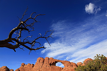 A natural sandstone rock arch in Arches National Park, near Moab, Utah, United States of America, North America