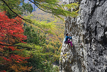 A woman rock climbing at Ogawayama, a mountain on the border of Nagano and Yamanashi prefectures, Honshu, Japan, Asia