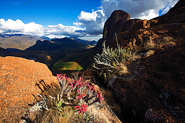 Landscape in the Tsaranoro Massif, Andringitra National Park, southern Madagascar