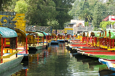 Colourful boats at the Floating Gardens in Xochimilco, UNESCO World Heritage Site, Mexico City, Mexico, North America 