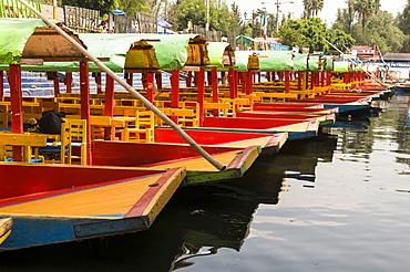 Line of colourful boats at the Floating Gardens in Xochimilco, UNESCO World Heritage Site, Mexico City, Mexico, North America 