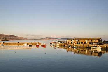 The harbour at Lyme Regis taken from the Cobb, Dorset, England, United Kingdom, Europe