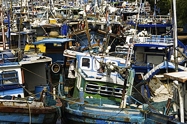 Fishing boats at Negombo lagoon, Negombo, Sri Lanka, Asia