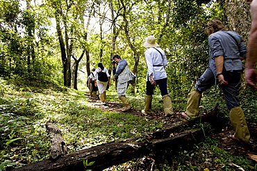 Trekking through the forest, Gavi, Thekkady, Kerala, India, Asia