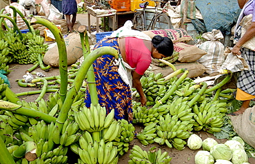 Vegetable market, Chalai, Trivandrum, Kerala, India, Asia