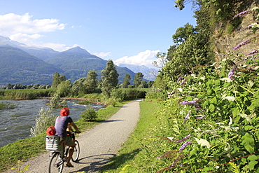 Family riding bicycle in Colico, Lake Como, Italian Lakes, Lombardy, Italy, Europe