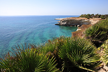 Coast near Cassibile, Siracusa Province, Sicily, Italy, Mediterranean, Europe