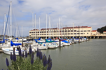 Fort Mason Center, Marina, San Francisco, California, United States of America, North America