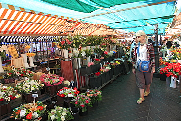 Market at Cours Saleya, Old Town, Nice, Alpes Maritimes, Provence, Cote d'Azur, French Riviera, France, Europe