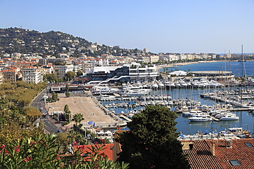 Harbor, Cannes, Alpes Maritimes, Cote d'Azur, French Riviera, Provence, France, Europe